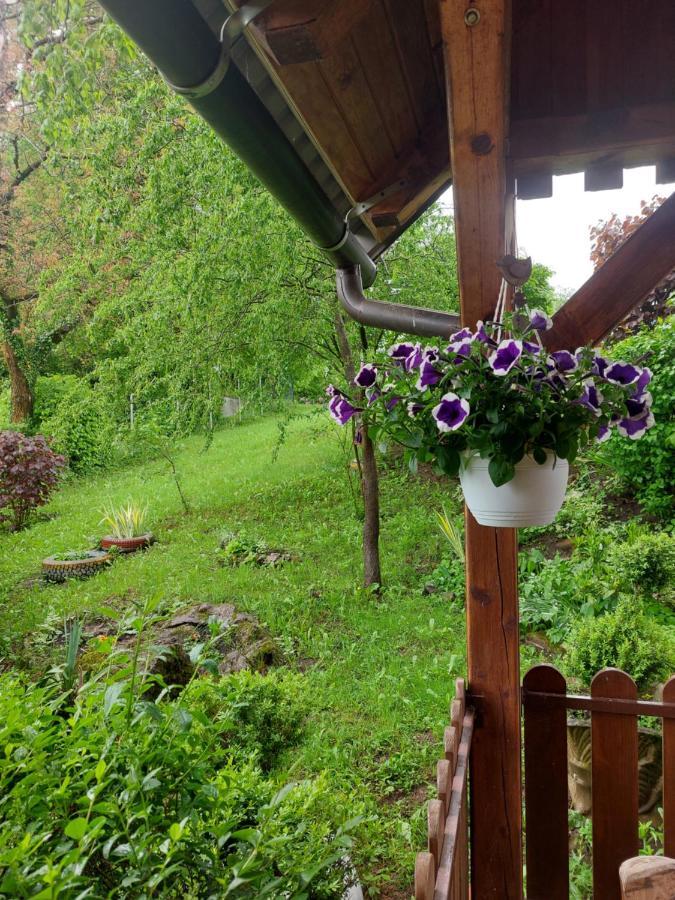 Kuca Za Odmor Anamarija Villa Ogulin Exterior foto