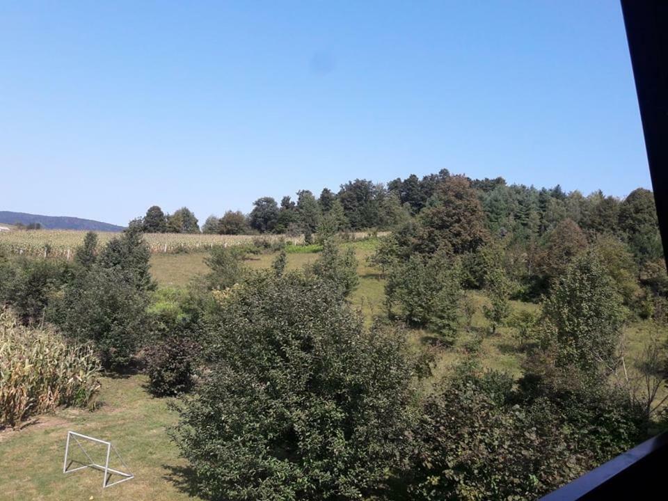 Kuca Za Odmor Anamarija Villa Ogulin Exterior foto